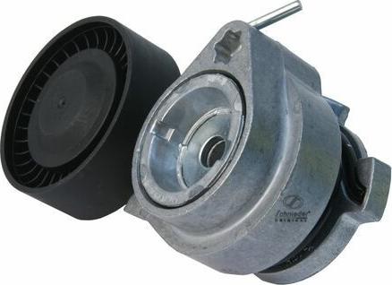 SCHNIEDER AUTOTECH BMS24.00033 - Rola ghidare / conducere, curea transmisie aaoparts.ro