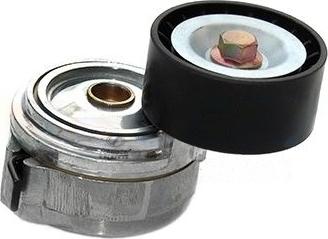 SCHNIEDER AUTOTECH MNT24.00025 - Intinzator curea, curea distributie aaoparts.ro