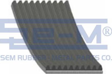 Sem Lastik 11701 - Curea transmisie cu caneluri aaoparts.ro