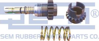 Sem Lastik 12514 - Set reparatie, etrier aaoparts.ro