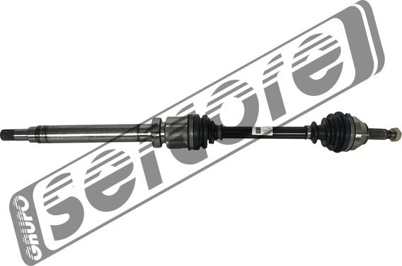 Sercore 22577 - Planetara aaoparts.ro