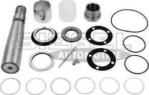 Siegel Automotive SA8J0006 - Set reparatie, pivot aaoparts.ro