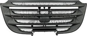 Siegel Automotive SA2D0796 - Grila radiator aaoparts.ro