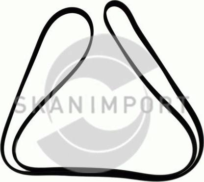 SKANIMPORT 6KK1217 - Curea transmisie cu caneluri aaoparts.ro