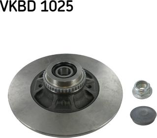 SKF VKBD 1025 - Disc frana aaoparts.ro