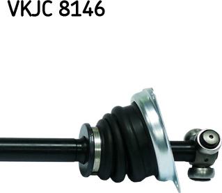 SKF VKJC 8146 - Planetara aaoparts.ro