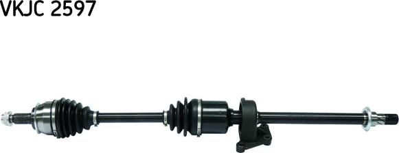 SKF VKJC 2597 - Planetara aaoparts.ro