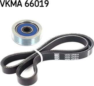 SKF VKMA 66019 - Set curea transmisie cu caneluri aaoparts.ro