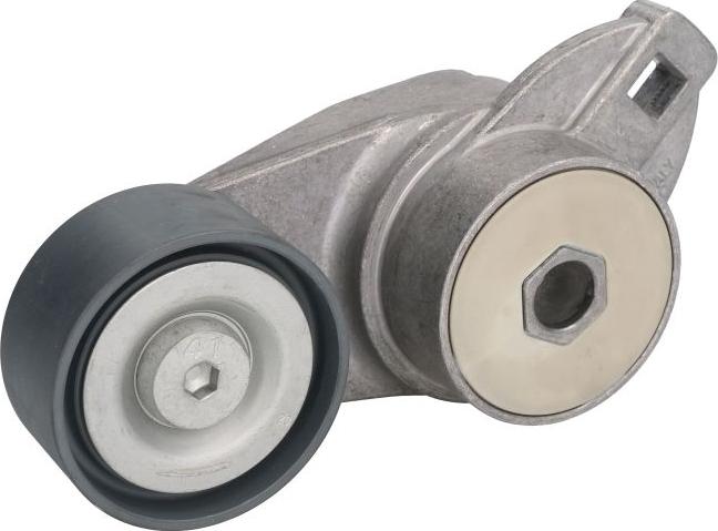 SKF VKMCV 54005 - Rola ghidare / conducere, curea transmisie aaoparts.ro