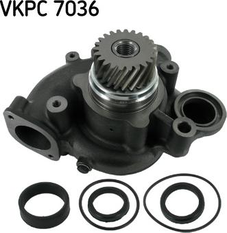 SKF VKPC 7036 - Pompa apa aaoparts.ro
