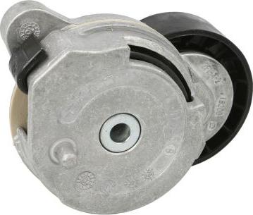 SNR GA365.47 - Rola ghidare / conducere, curea transmisie aaoparts.ro