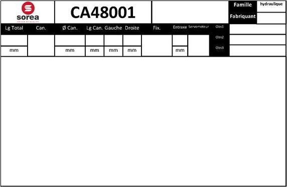 SNRA CA48001 - Caseta directie aaoparts.ro