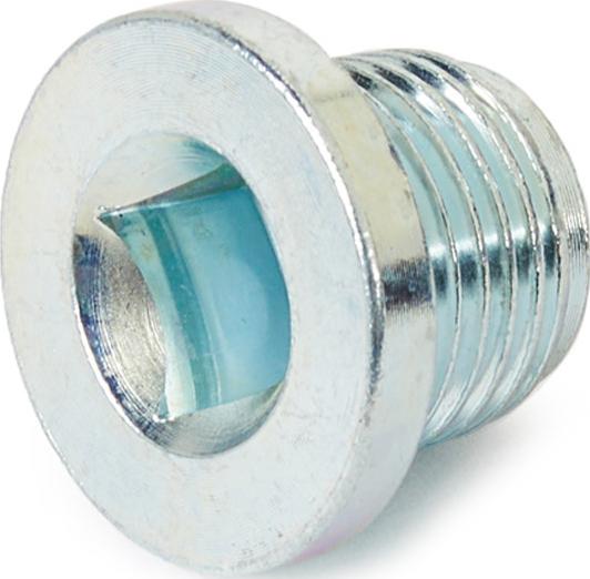 Stark SKDP-2580052 - Surub de golire,baia de ulei aaoparts.ro