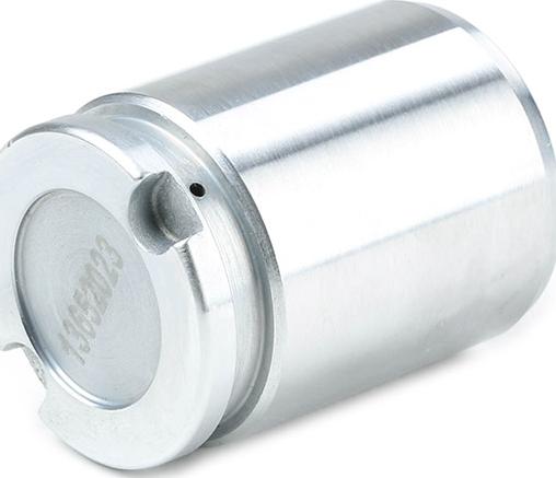 Stark SKPBC-1660015 - Piston, etrier frana aaoparts.ro