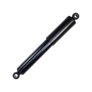 Starline TL C00079.2 - Amortizor aaoparts.ro