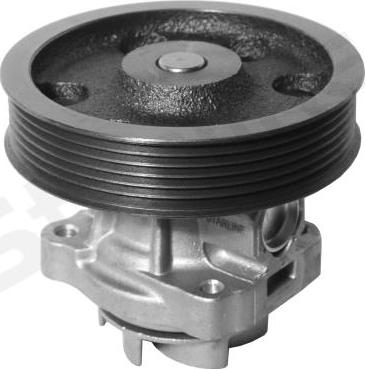 Starline VP FI146 - Pompa apa aaoparts.ro