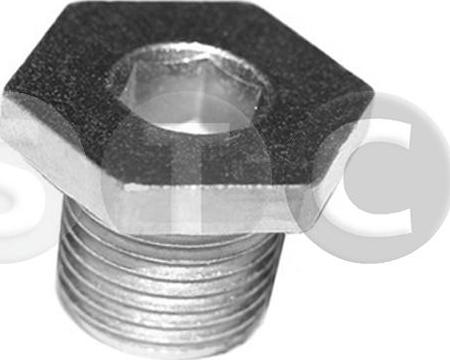 STC T402452 - Surub de golire,baia de ulei aaoparts.ro