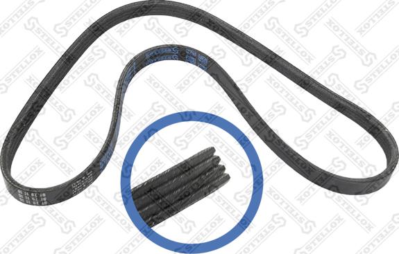 Stellox 04-00922-SX - Curea transmisie cu caneluri aaoparts.ro