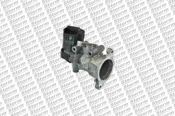 Storm 9029 - Supapa EGR aaoparts.ro