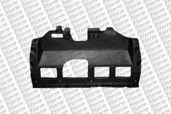 Storm 474207 - Acoperire motor aaoparts.ro