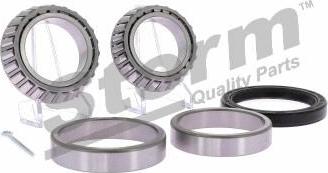Storm 69065 - Set rulment roata aaoparts.ro