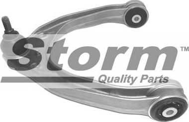 Storm 134981 - Brat, suspensie roata aaoparts.ro
