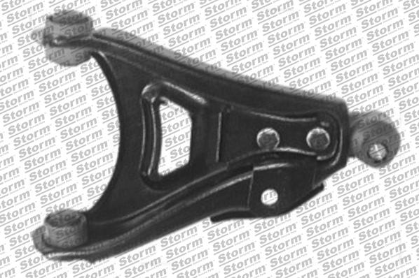 Storm 81052 - Brat, suspensie roata aaoparts.ro