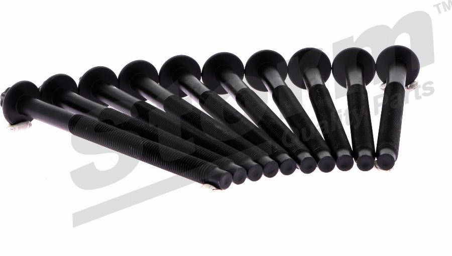 Storm 299707 - Surub chiulasa aaoparts.ro