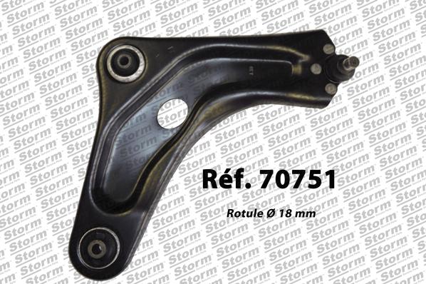 Storm 70751 - Brat, suspensie roata aaoparts.ro
