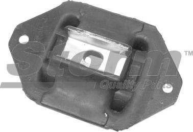 Storm F4876 - Suport motor aaoparts.ro
