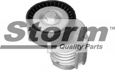 Storm F4313 - Set reparatie, brat tensionare curea trapezoidala aaoparts.ro