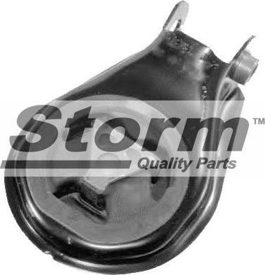 Storm F10206 - Suport motor aaoparts.ro