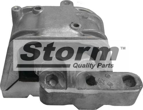 Storm F10795 - Suport motor aaoparts.ro