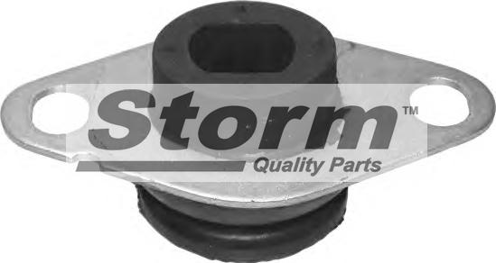 Storm F1202 - Suport motor aaoparts.ro