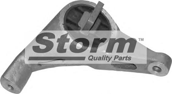 Storm F2486 - Suport motor aaoparts.ro
