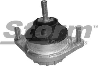 Storm F2561 - Suport motor aaoparts.ro