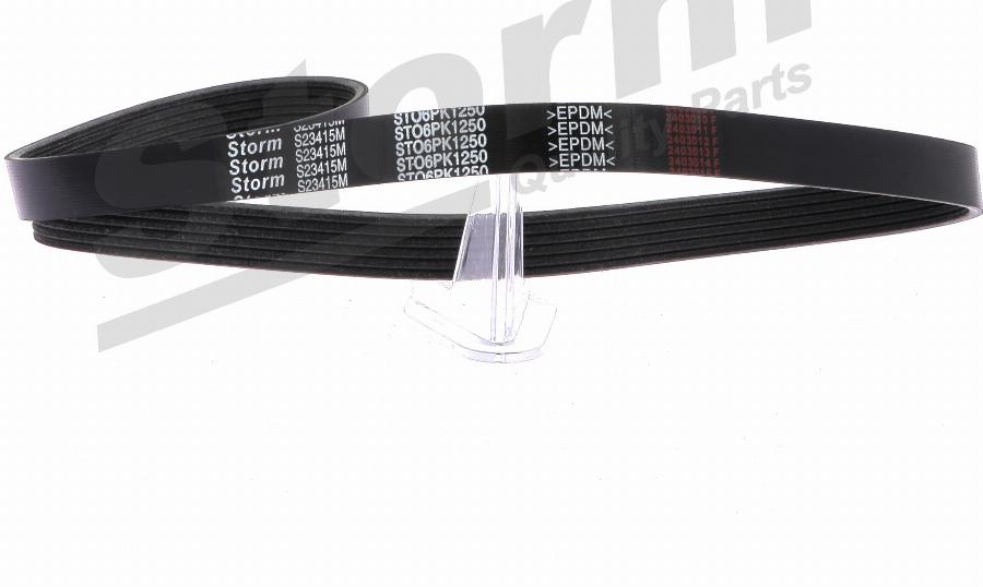 Storm STO6PK1250 - Curea transmisie cu caneluri aaoparts.ro