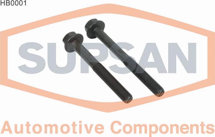 SUPSAN HB0001 - Set surub, chiulasa aaoparts.ro