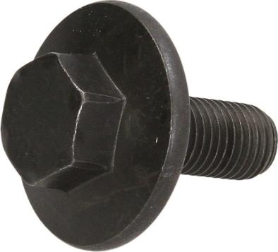 Swag 50 94 0754 - Surub fulie aaoparts.ro