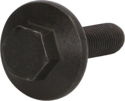 Swag 50 94 0755 - Surub fulie aaoparts.ro