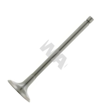 Swag 62 92 6031 - Supapa admisie aaoparts.ro