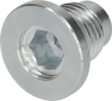 Swag 33 11 1559 - Surub de golire,baia de ulei aaoparts.ro