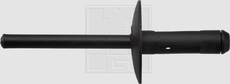 SWGAutomotive 500 307     16 - Clips, acoperire decorativa si protectie aaoparts.ro