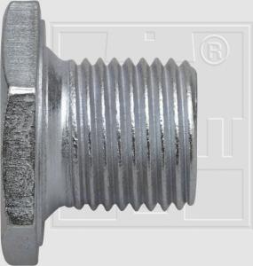 SWGAutomotive 243 001 024 16 - Surub de golire,baia de ulei aaoparts.ro