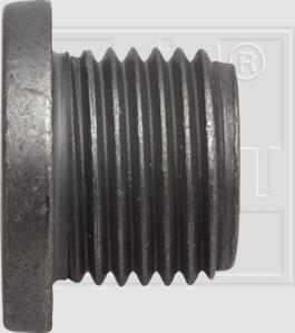 SWGAutomotive 243 001 020 16 - Surub de golire,baia de ulei aaoparts.ro