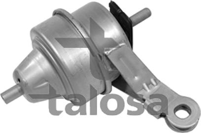 Talosa 61-06246 - Suport motor aaoparts.ro
