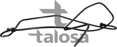Talosa 68-18447 - Furtun combustibil aaoparts.ro
