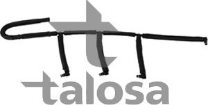 Talosa 68-20458 - Furtun combustibil aaoparts.ro
