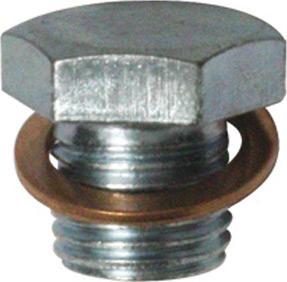 Technika 713957 - Surub de golire,baia de ulei aaoparts.ro
