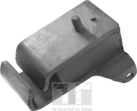 Tedgum 00465543 - Suport motor aaoparts.ro